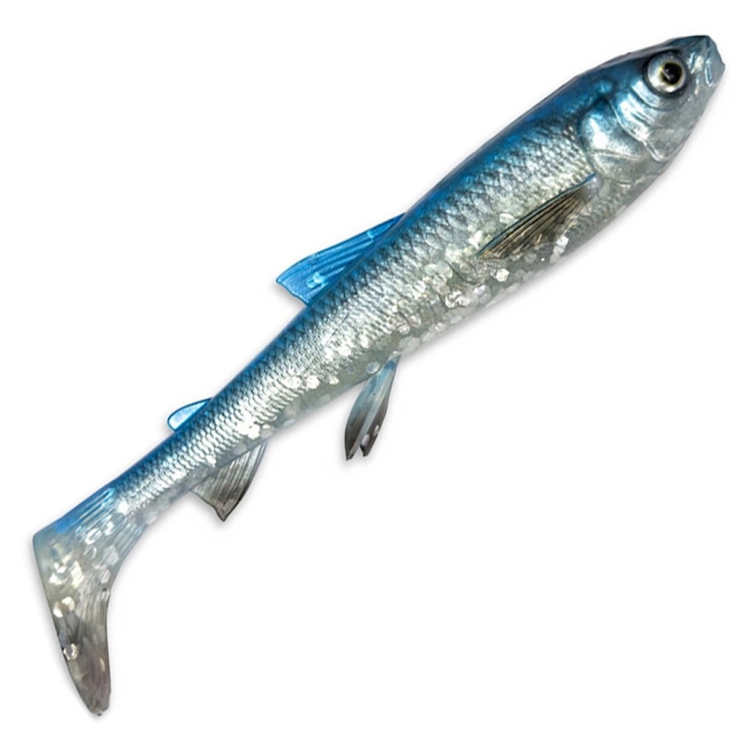 Läs mer om Savage Gear 3D Whitefish Shad 20 cm fiskjigg Blue Silver