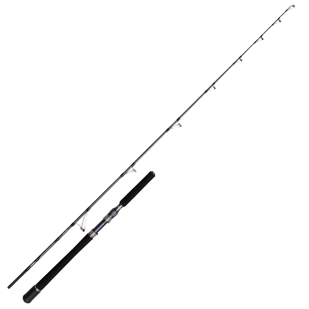 Läs mer om Penn Battalion Solid Bait Boat spinnspö 198 cm 20-30 lb 1+1 delat