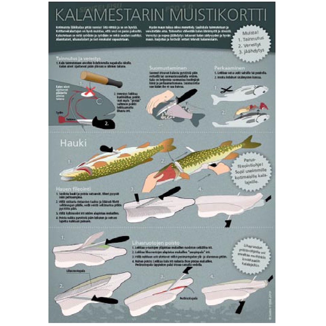 Läs mer om Sakke Yrjölä Fiskmästarens minneskort A4 kort