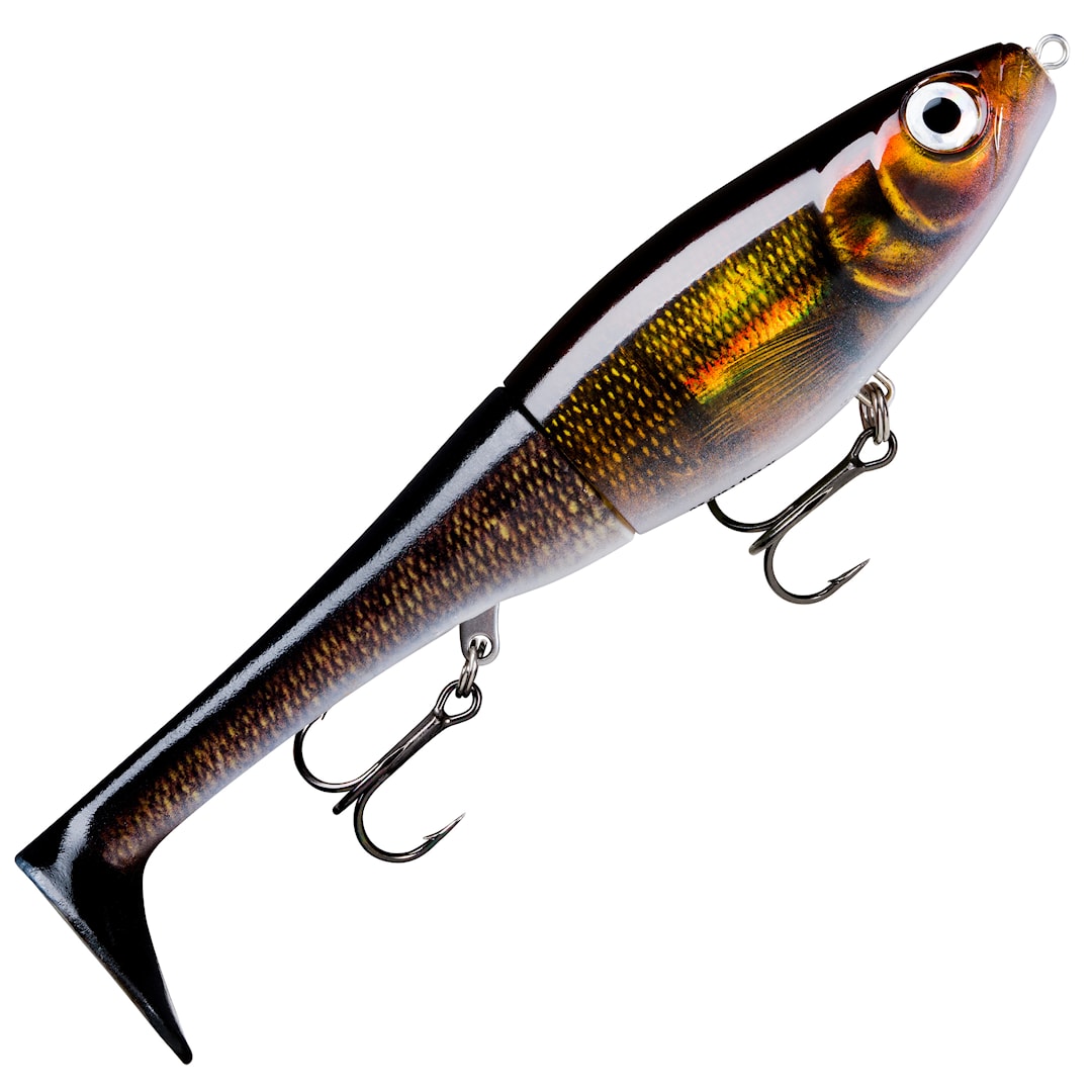 Rapala X-Rap Peto 20 cm jerkbait ZAL