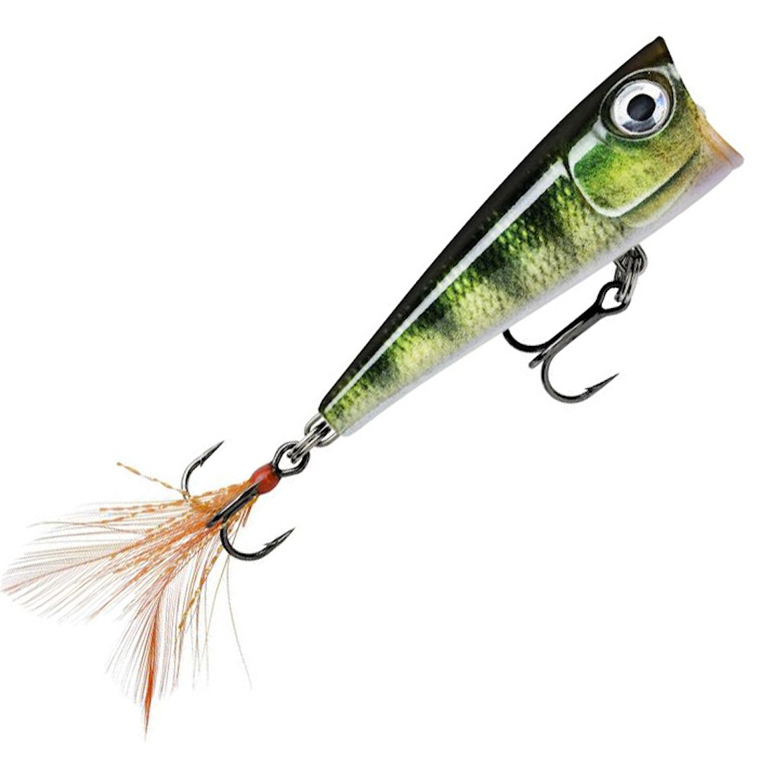 Rapala X-Light Pop 4 cm popperi Live Perch