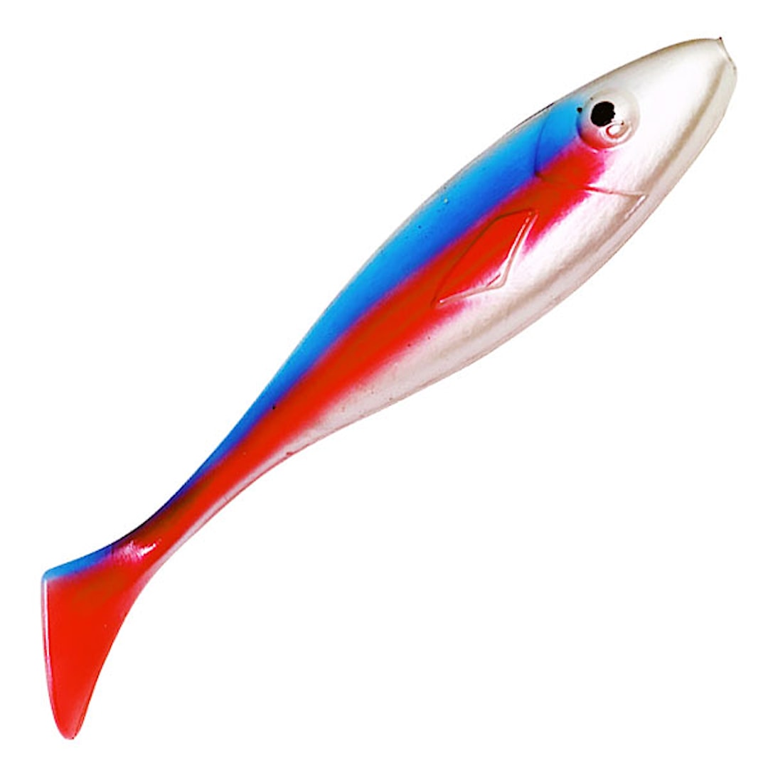 Gator Gum Cm Kalajigi Neon Tetra