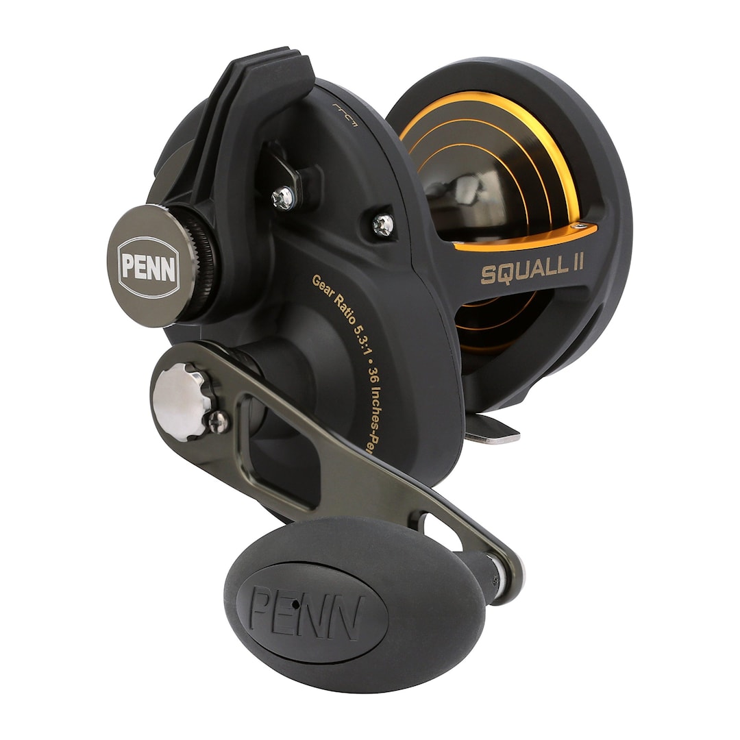 Läs mer om Penn Squall II Lever Drag multirulle 30