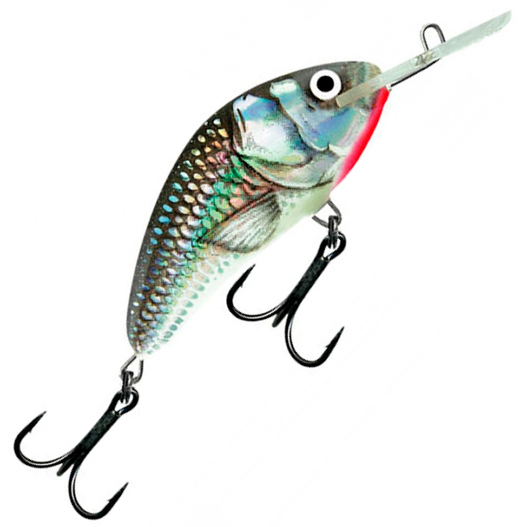 Salmo Hornet 9F 9 cm wobbler Holographic Grey Shiner