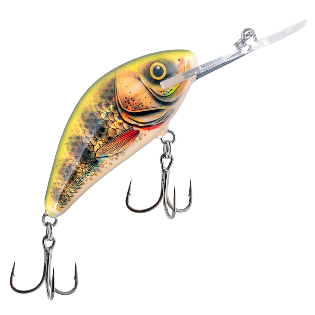 Läs mer om Salmo Hornet 6F 6 cm wobbler RIP