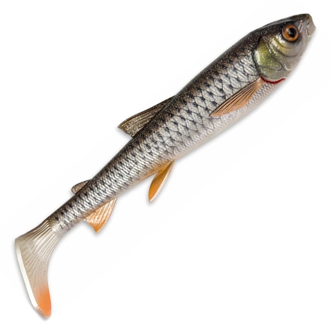 Läs mer om Savage Gear 3D Whitefish Shad 20 cm fiskjigg Roach