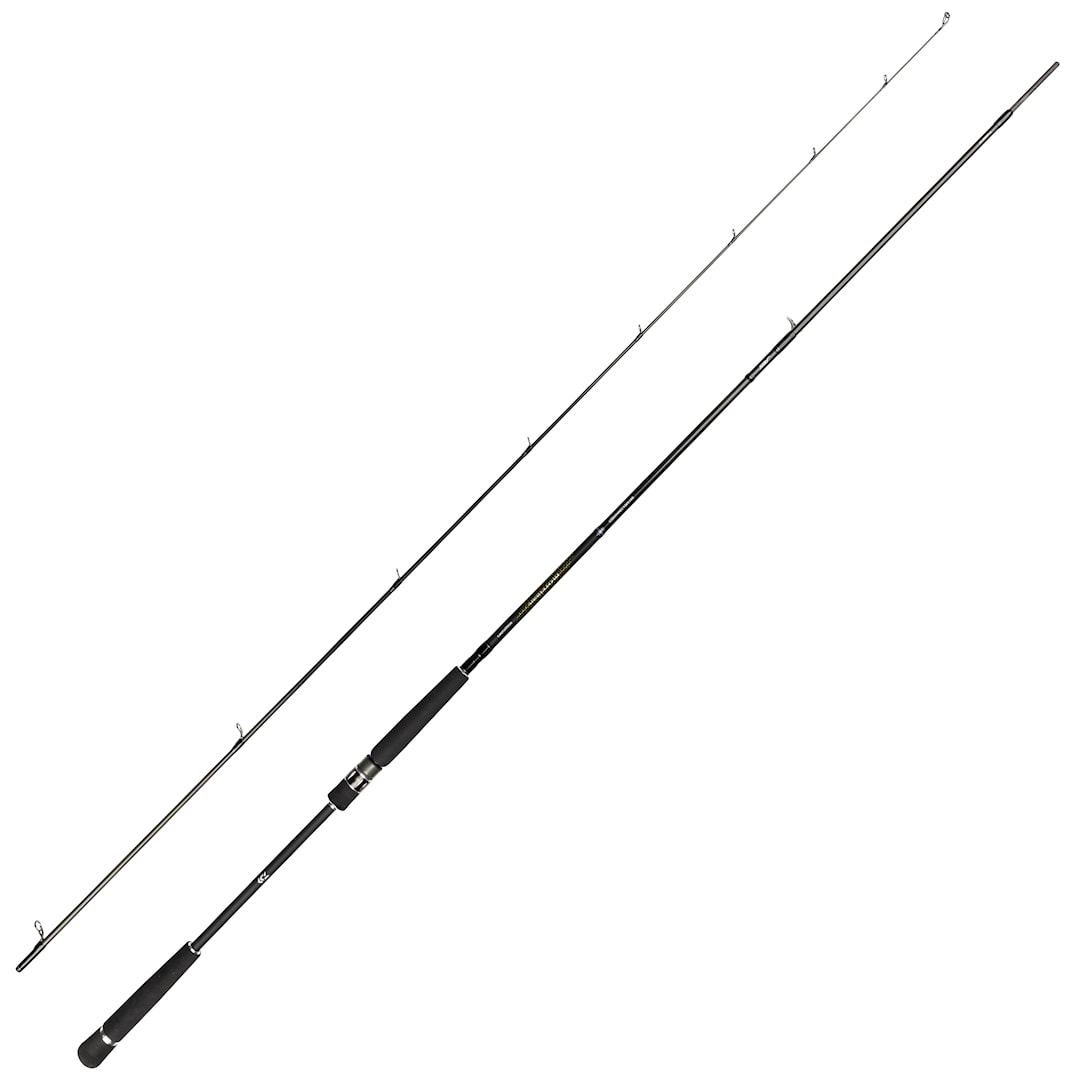 Daiwa Morethan Spin Spinning Reel Rod