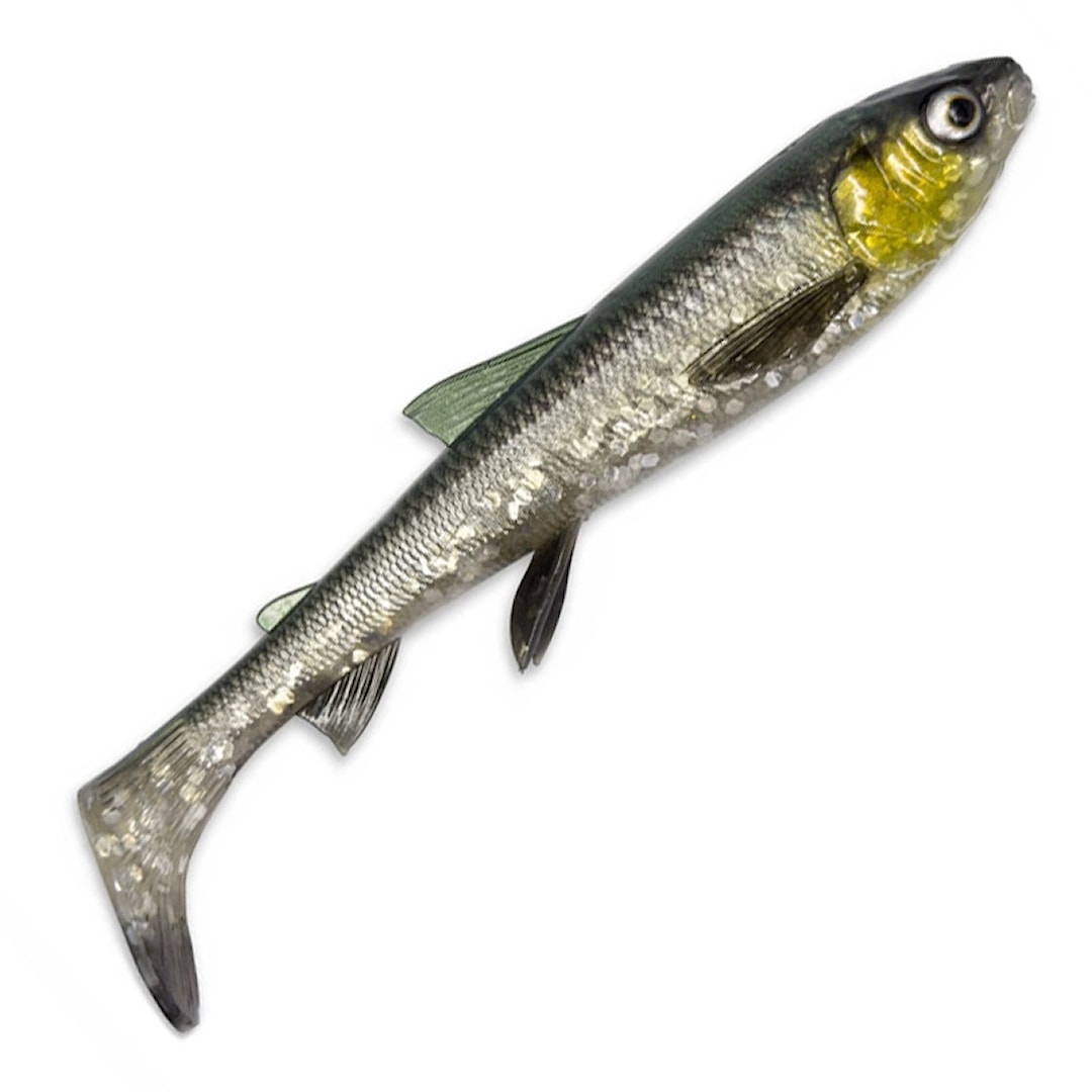 Läs mer om Savage Gear 3D Whitefish Shad 20 cm fiskjigg Green Silver