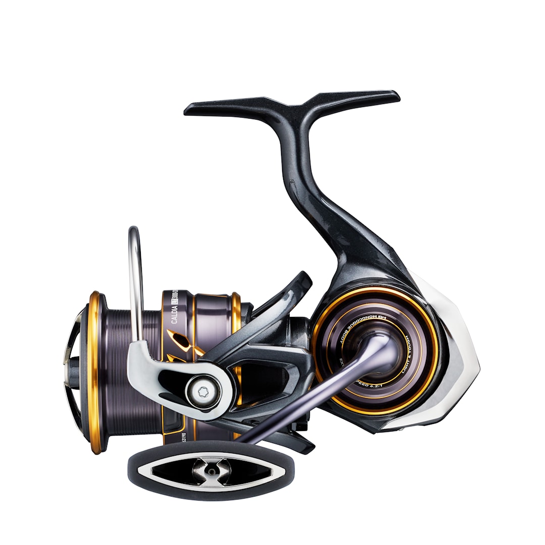 Daiwa 18 CALDIA LT-2000S-XH Spinning Reel | eBay