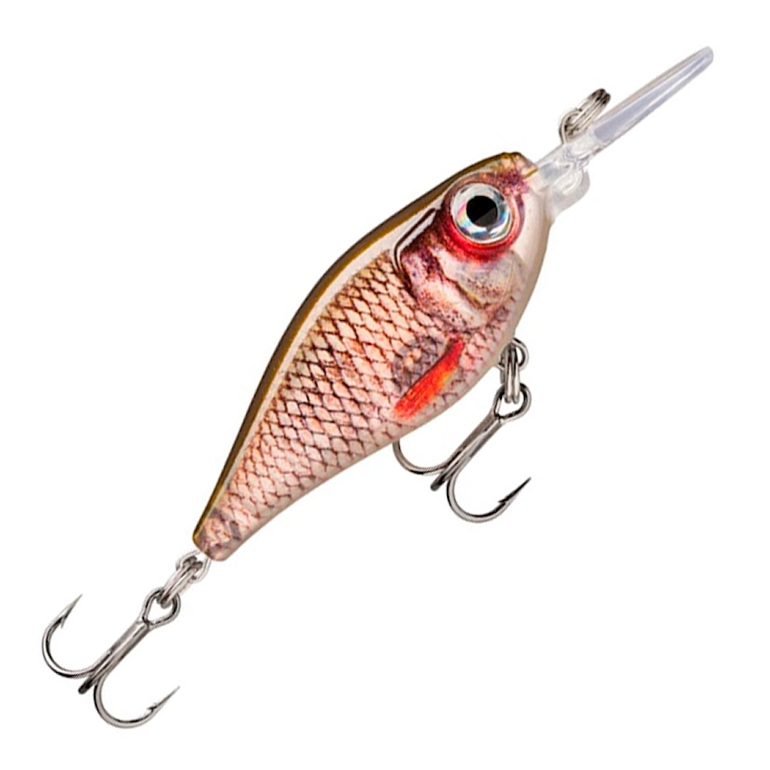 Rapala X-Light Shad 4 cm wobbler Live Roach