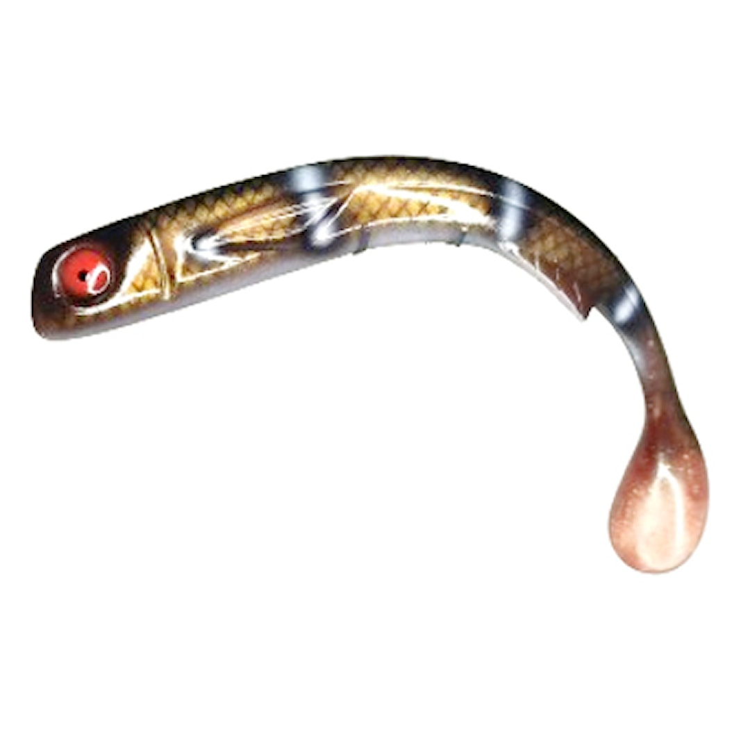 Polarbite Gamma Shad Cm Kiwi Perch