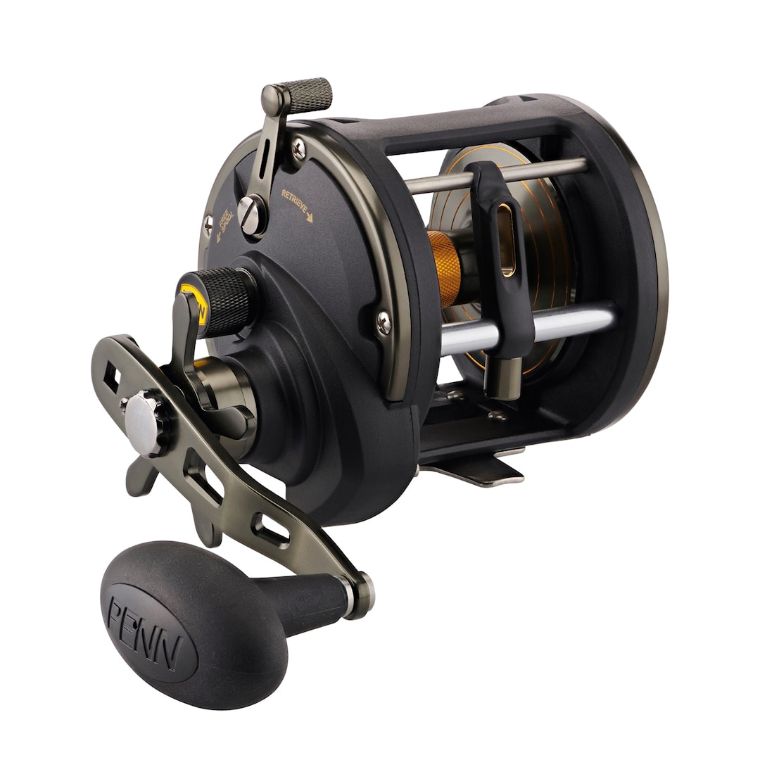 Penn Squall II Level Wind multirulle 20